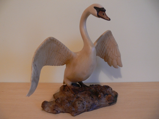 moja labuď ešte z Irska