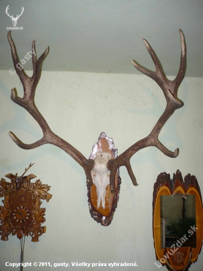 dobrý jelen