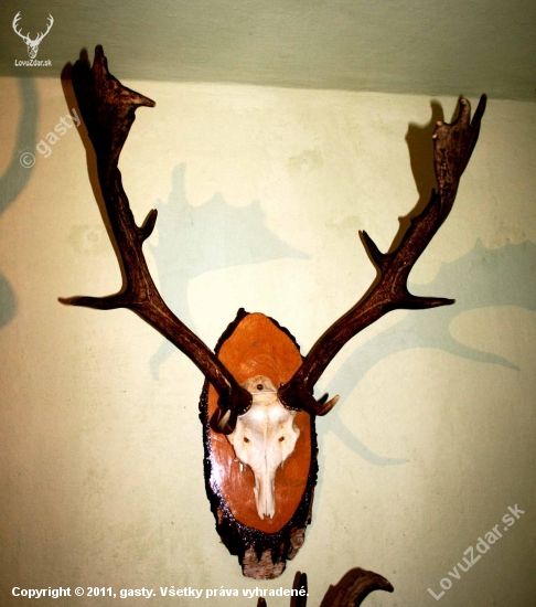 další velký