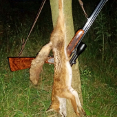 Úspěšný večer
