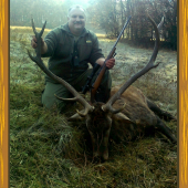 jelen uloveny 13.11.2011
