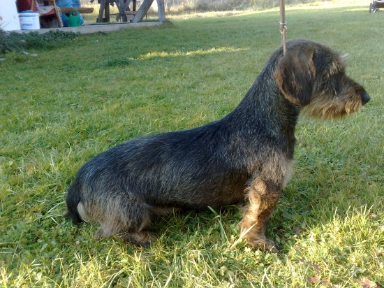 Amos z Hančinského horárne