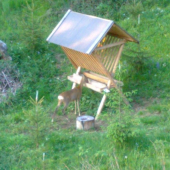 pre toto som si postavil sedačku pri krmelci