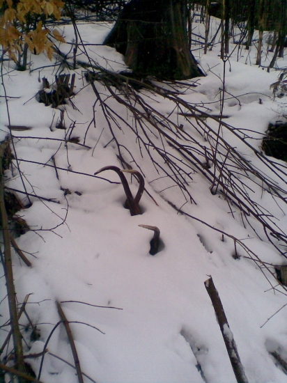 Venované pre tito81 :))