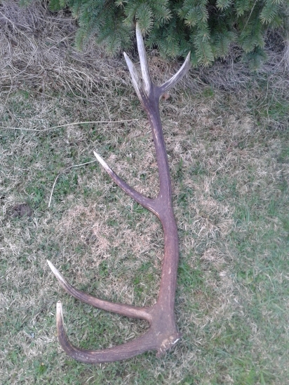 Už pekne vonka na slnku