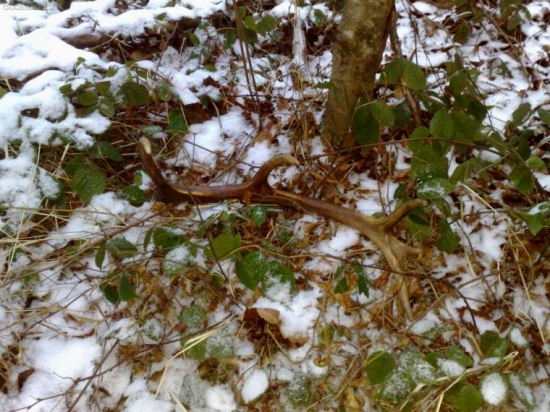 môj prvý zhod v živote