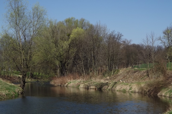 probouzející se jaro u vody
