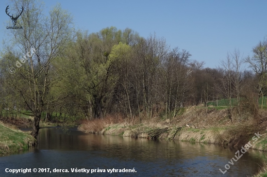 probouzející se jaro u vody