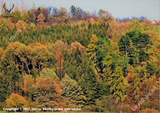 barevná pestrost podzimní přírody