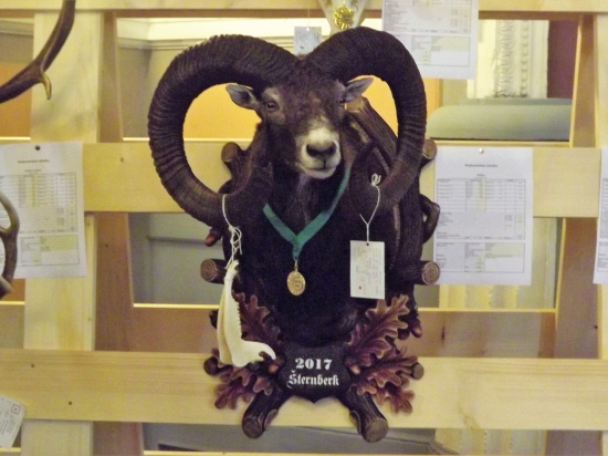 Výstava trofejí Příkazy