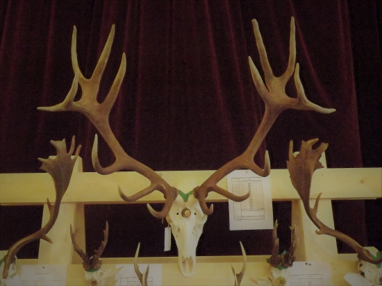 Přehlídka trofejí-Příkazy