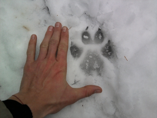 no tak toto nieje ten z tích menších