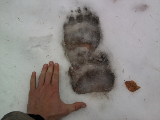 no tak tomuto sa nechce spať asi  :D