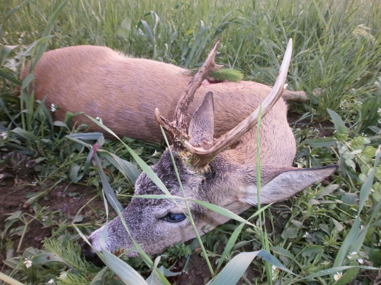 Letošní zahájení sezony