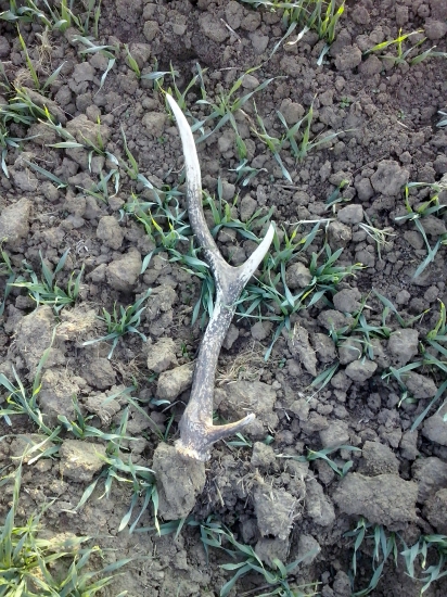 Skoro som nan stupil :)