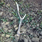 Skoro som nan stupil :)