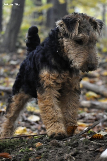 Mia na vystave v KE V2