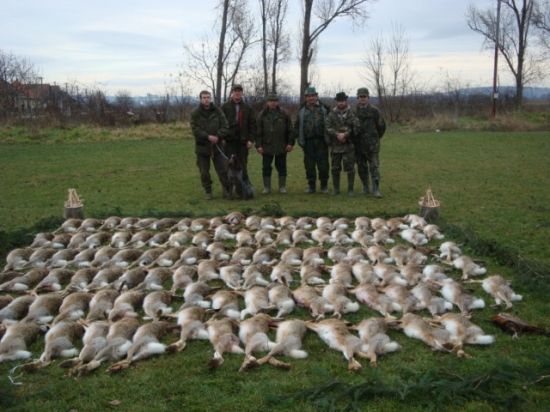 kamarati z demandic na hostovskej