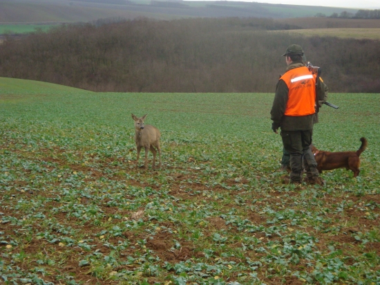 ta malá mala neaku chorobu ...nechcela sa ani pohnut ...:(