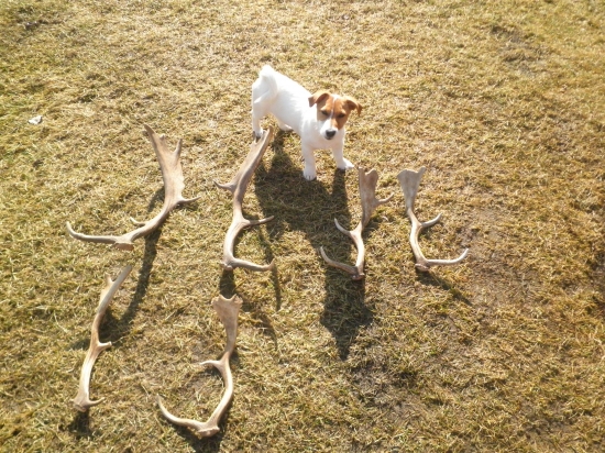 moje minulorocne z daniela