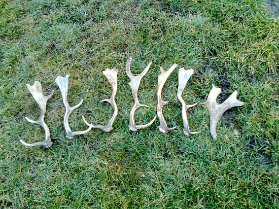 Moje zhody z daniela :)