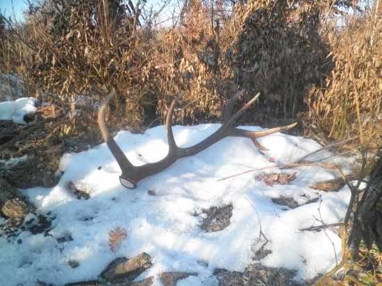 Tohotorocna radost :) 14 torak