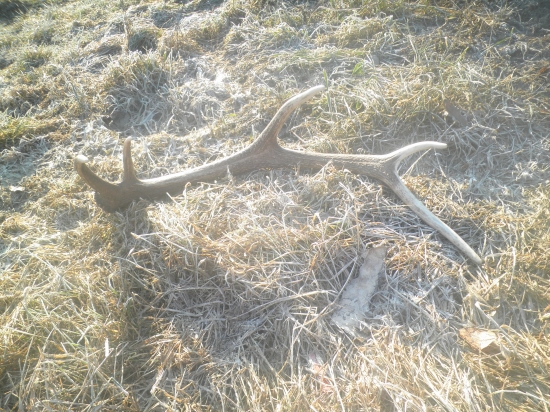 Dalsie potesenie :) 10 torak