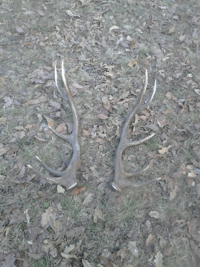 Vcerajsi spiatocnik :)