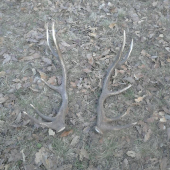 Vcerajsi spiatocnik :)