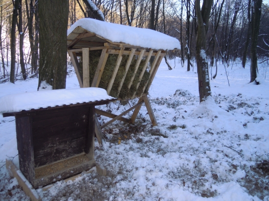 Prikrmovanie v nedelu 2