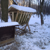 Prikrmovanie v nedelu 2