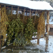 Mikulášska nadielka...