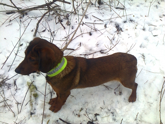 ...čakanie na začiatok...