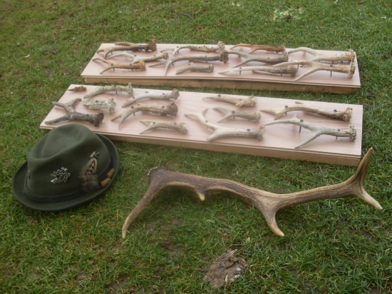 srncie zhody,jeleny zhod,klobuk :)