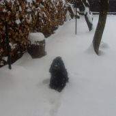 trošku  zasnežilo (20cm)