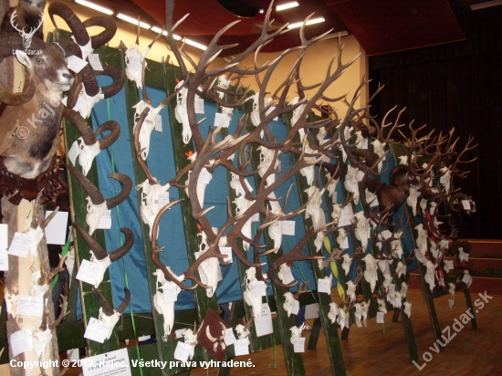 Polovnicka Vystava 2011