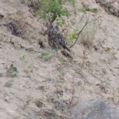 co myslite co to je?