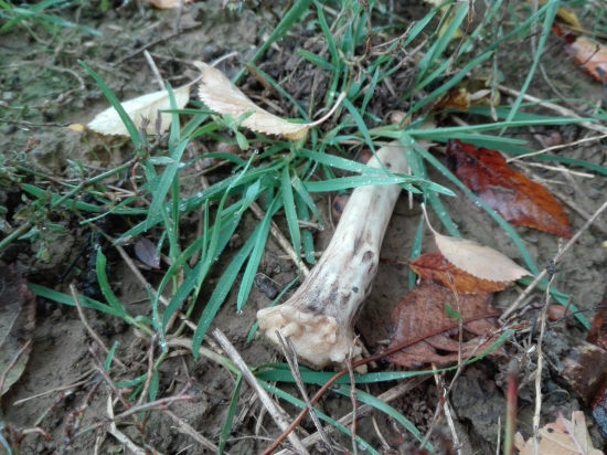 Dnešný z minulého roka