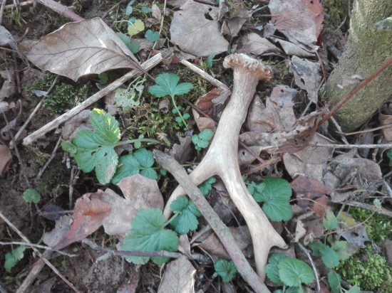 Povianočný darček