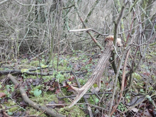 Prvý pohľad-zavesený