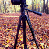 A môžu prísť :)