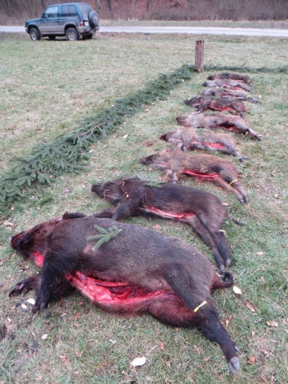 Úspešná spoločná polovačka