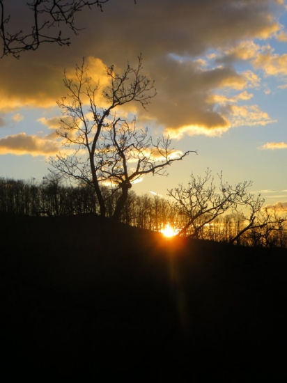 Večerná prechádzka