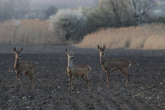 Testovanie nového foťáku :)