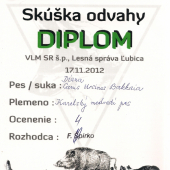 karelsky medvedi pes