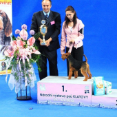 Eurico- BIS Junior Klatovy 2010