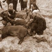 prosinec 2012