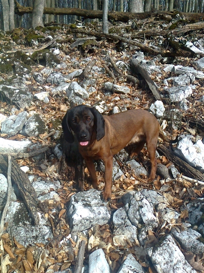 na prechádzke - KARA JAZVINY