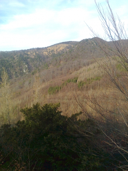 ...v pozadí pomník Alexandra Dubčeka...