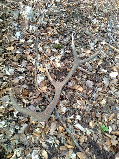 konečne sa zadarilo